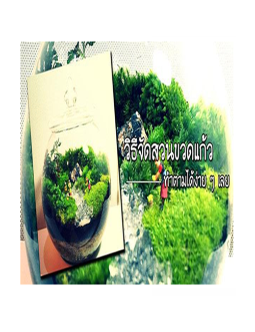 วิธีจัดสวนขวดแก้วระบบปิดไว้ประดับบ้าน