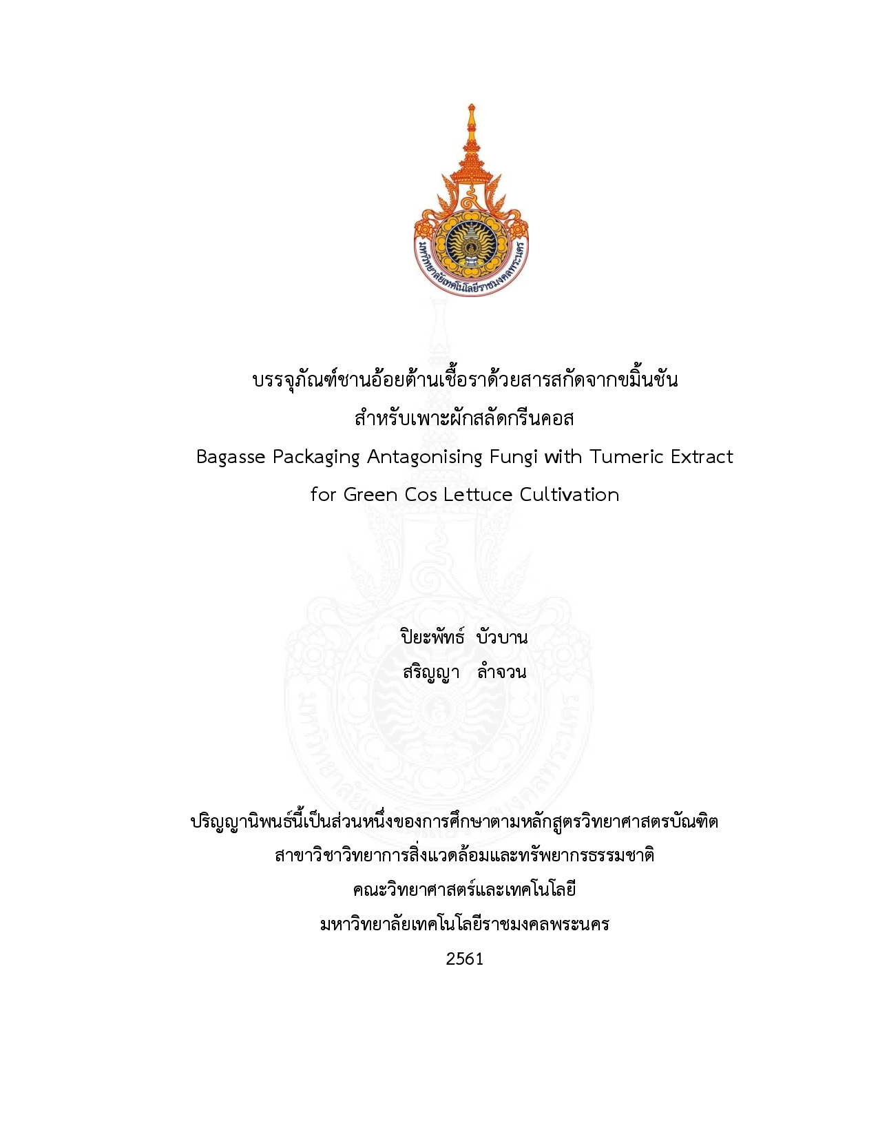 บรรจุภัณฑ์ชานอ้อยต้านเชื้อราด้วยสารสกัดจากขมิ้นชันสำหรับเพาะผักสลัดกรีนคอส